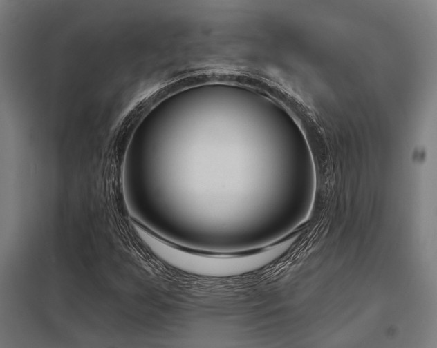 X0000098051255200803281446