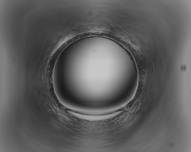 X0000098051256200803281446