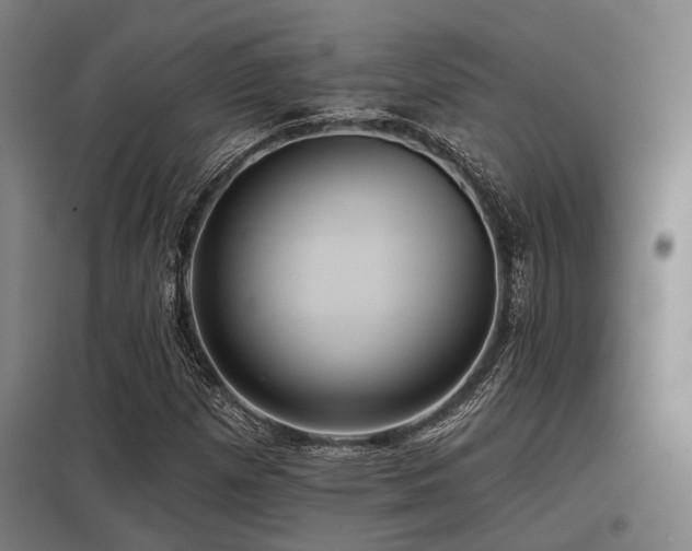 X0000098051257200803281446