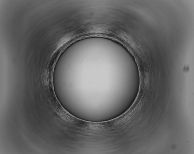 X0000098051258200803281446