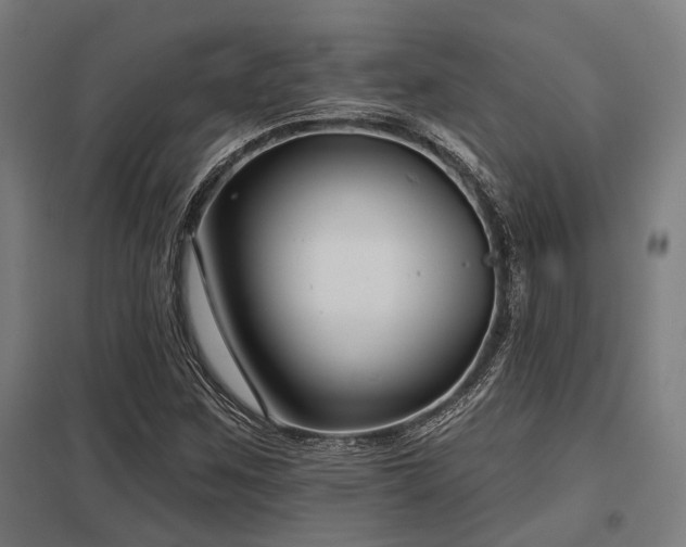 X0000098051259200803281446