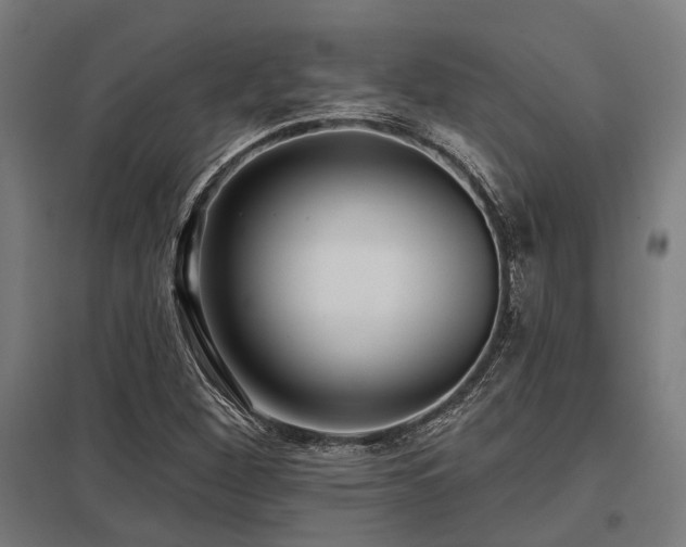 X0000098051260200803281446