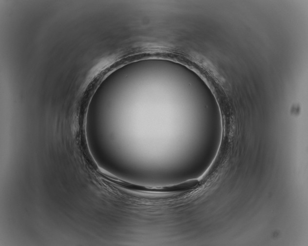X0000098051261200803281446