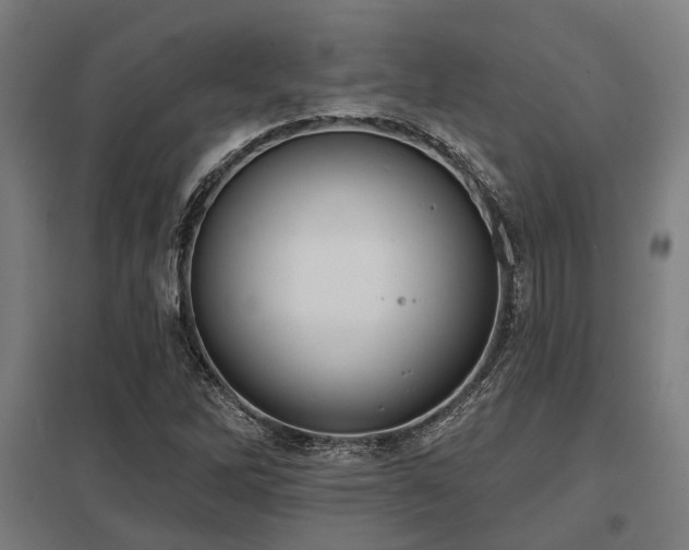 X0000098051262200803281446