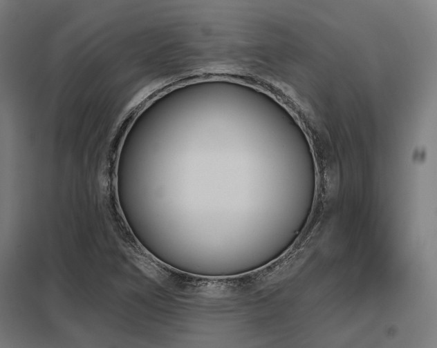 X0000098051266200803281446