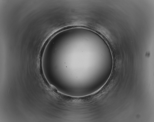 X0000098051268200803281446