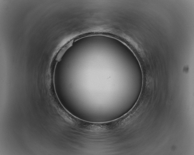 X0000098051270200803281446