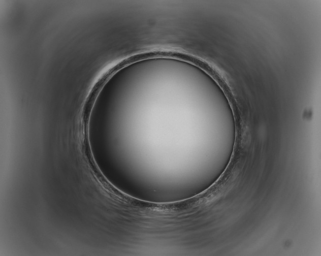 X0000098051271200803281446