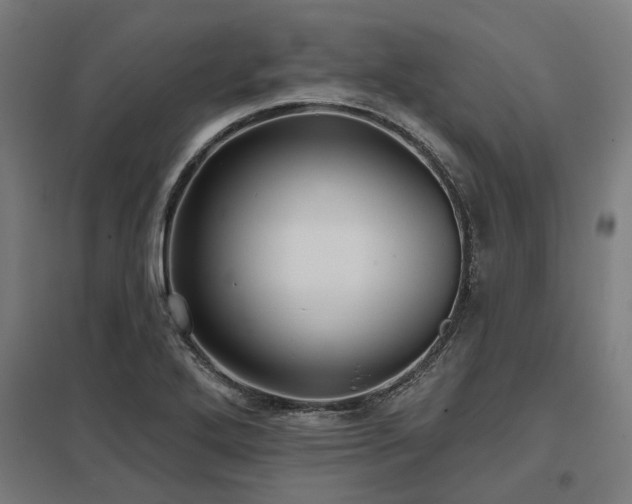 X0000098051272200803281446