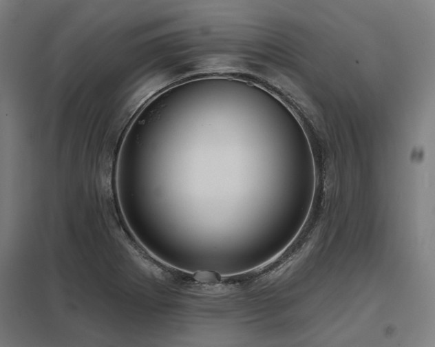 X0000098051273200803281446