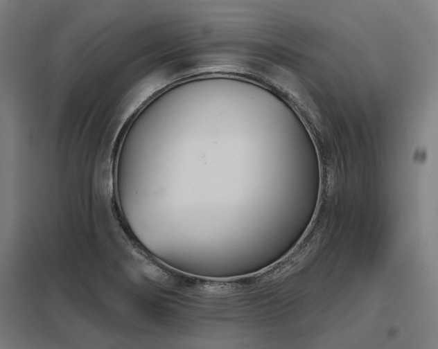 X0000098051274200803281446