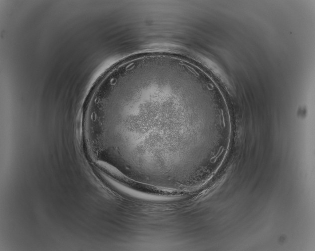 X0000098051275200803281446