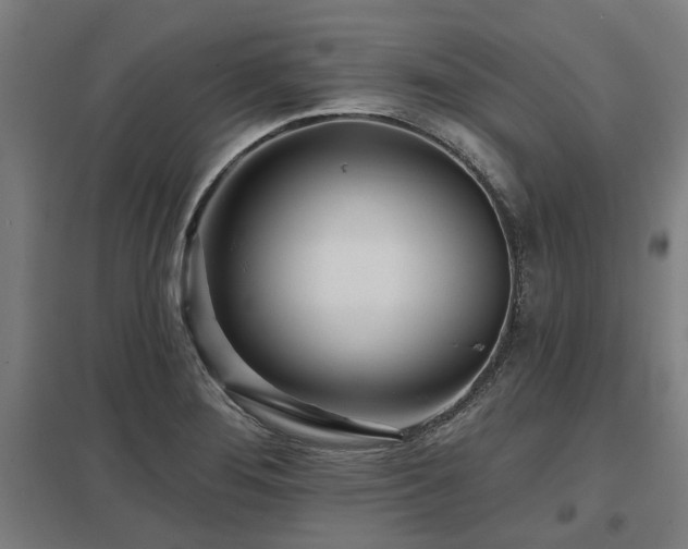 X0000098051276200803281446