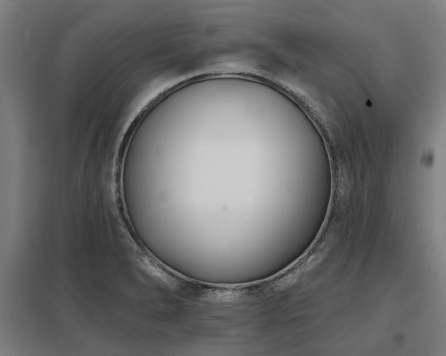 X0000098051278200803281446