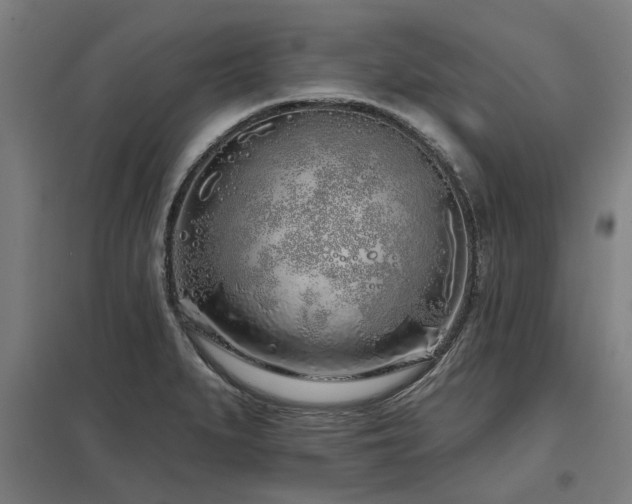 X0000098051279200803281446
