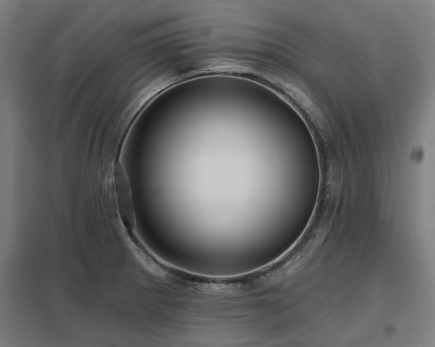 X0000098051281200803281446