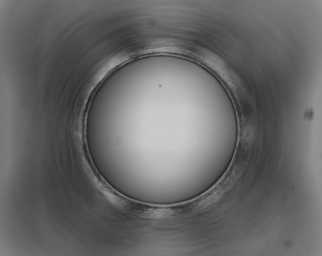 X0000098051282200803281446