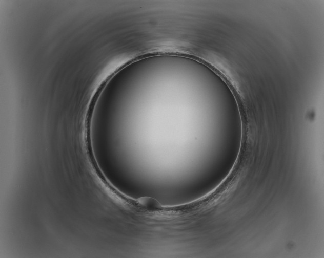 X0000098051285200803281446