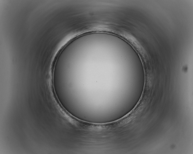 X0000098051286200803281446