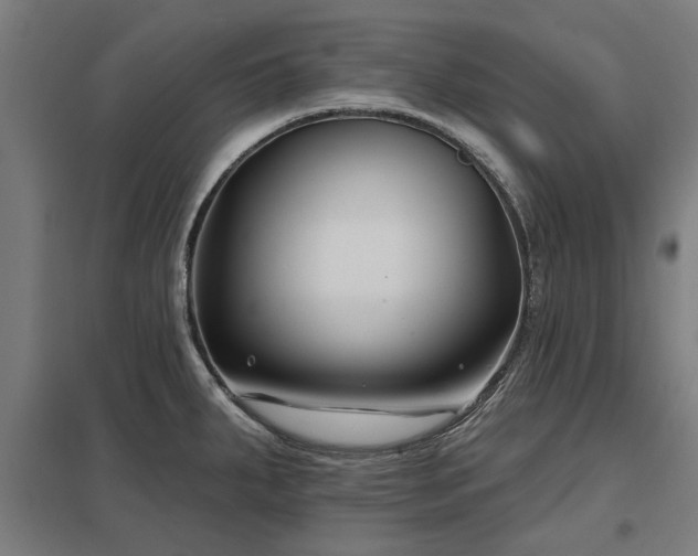 X0000098051287200803281446