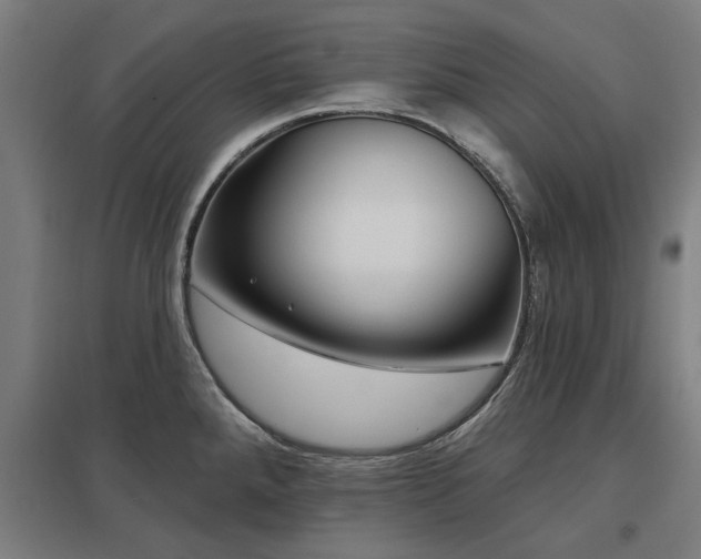 X0000098051288200803281446