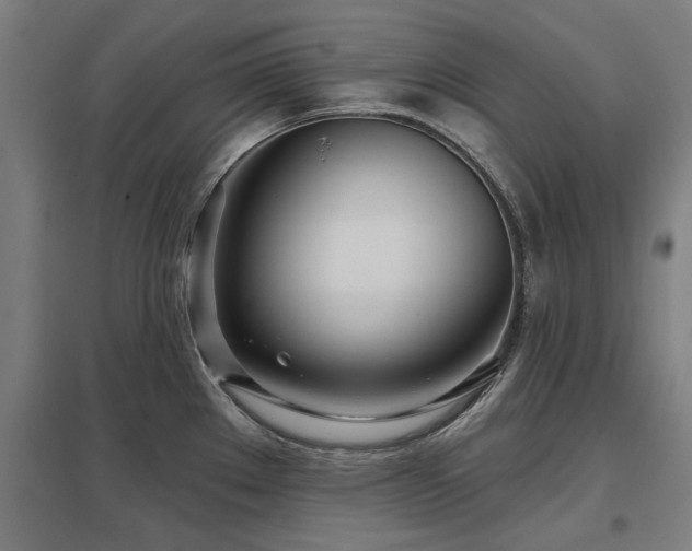 X0000098051289200803281446
