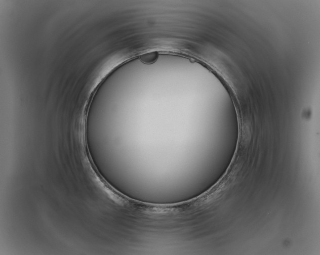X0000098051290200803281446