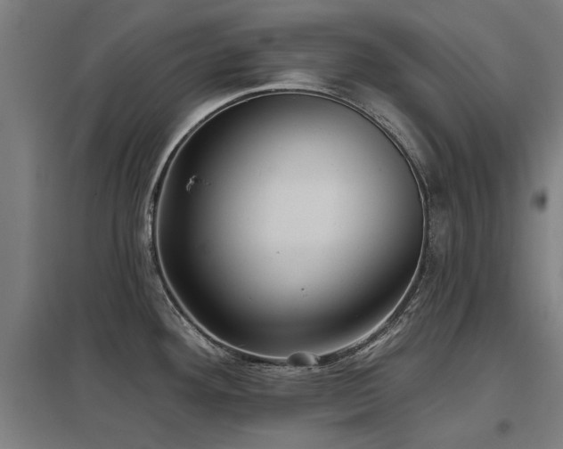 X0000098051292200803281446