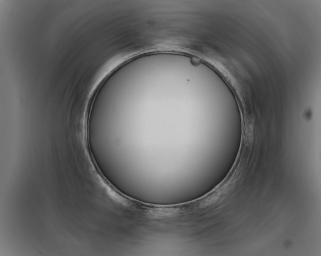 X0000098051294200803281446