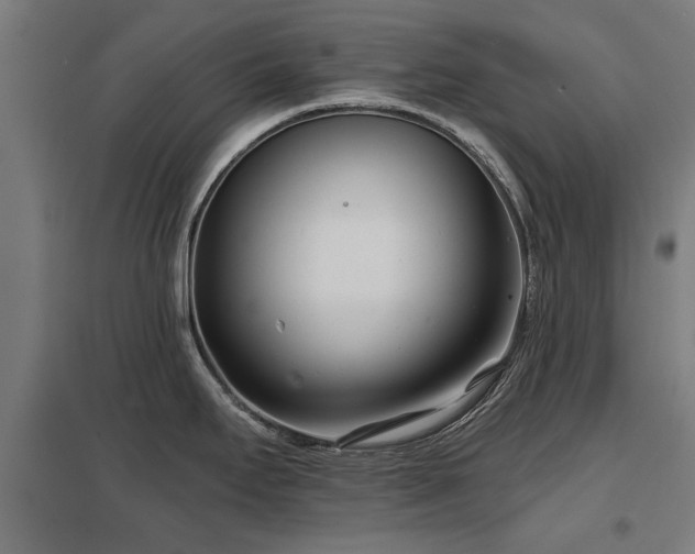 X0000098051295200803281446