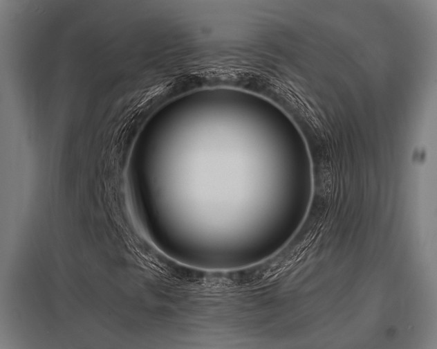 X0000098051297200803281445