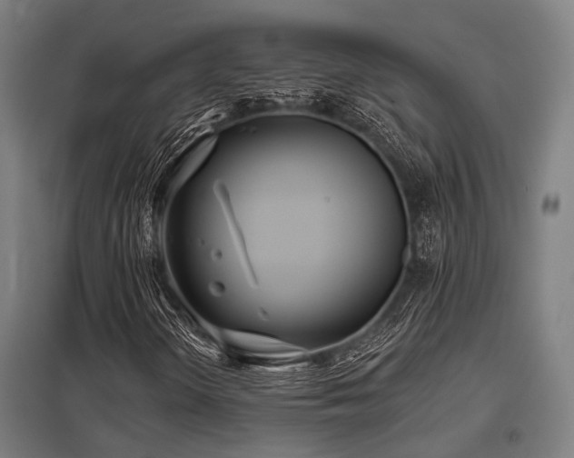 X0000098051298200803281445