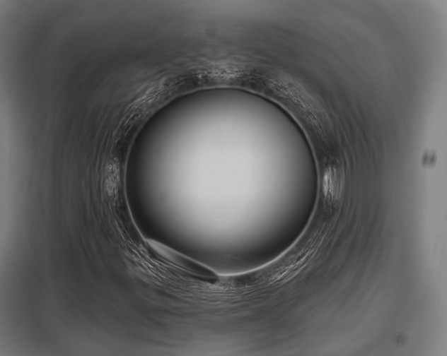 X0000098051299200803281445