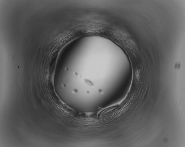 X0000098051300200803281445
