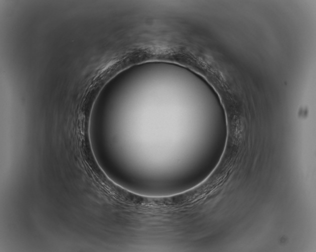 X0000098051301200803281445
