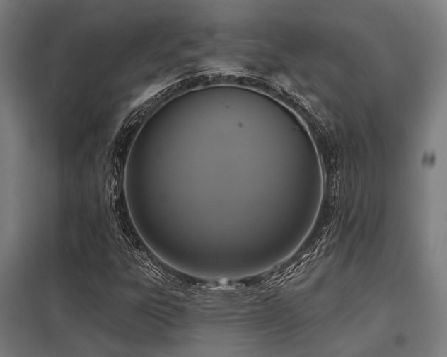 X0000098051303200803281445
