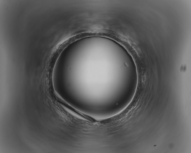 X0000098051304200803281445