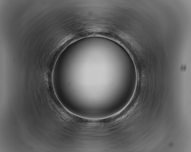 X0000098051305200803281445
