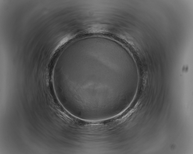 X0000098051306200803281445
