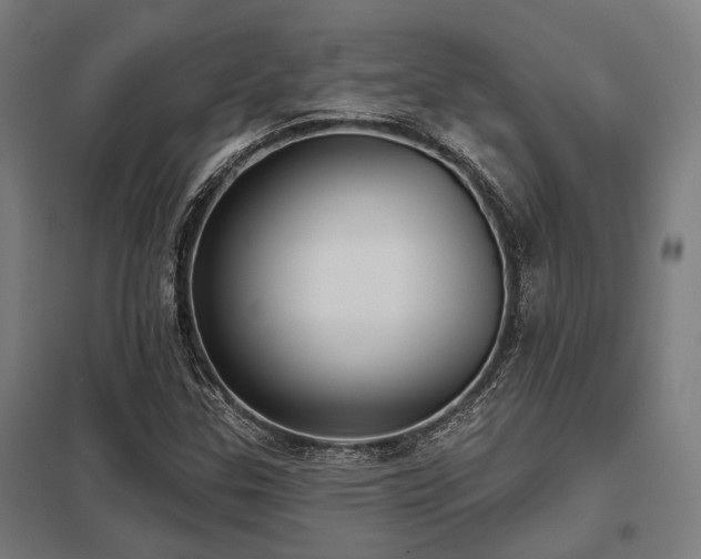 X0000098051307200803281445