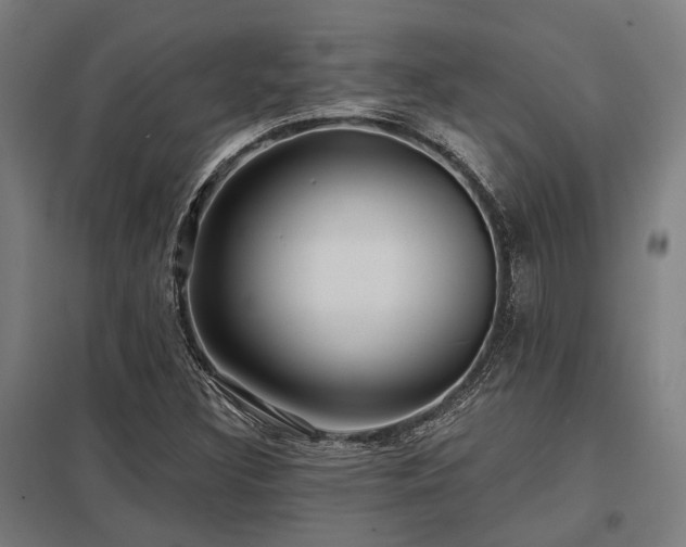 X0000098051308200803281445