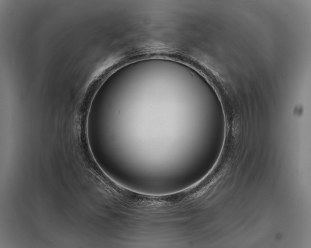 X0000098051309200803281445