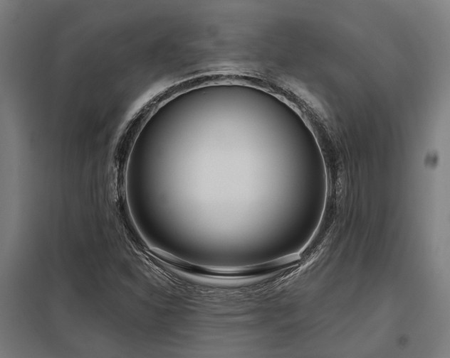 X0000098051310200803281445