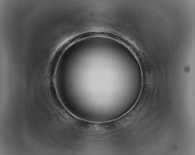 X0000098051311200803281445