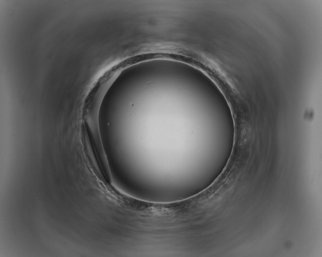 X0000098051312200803281445