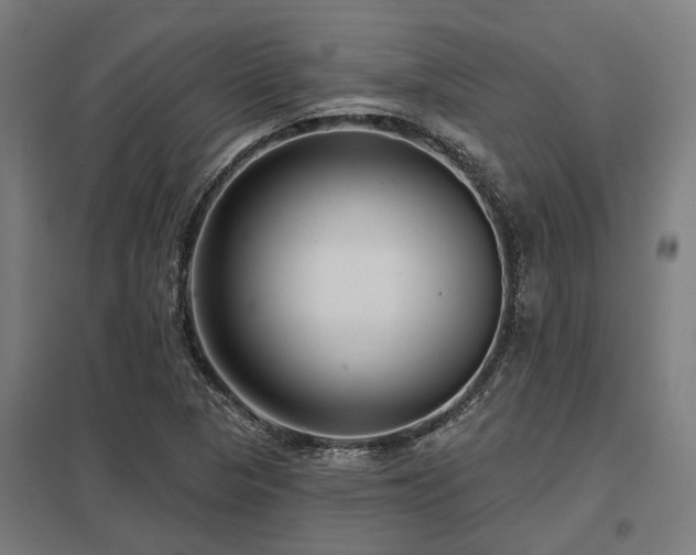 X0000098051313200803281445