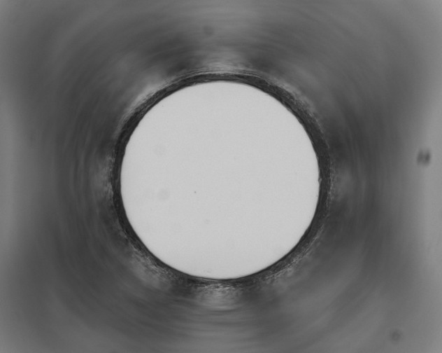 X0000098051314200803281445