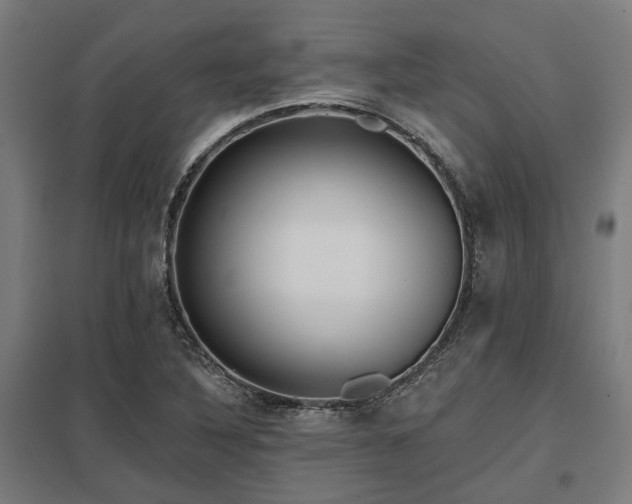 X0000098051316200803281445