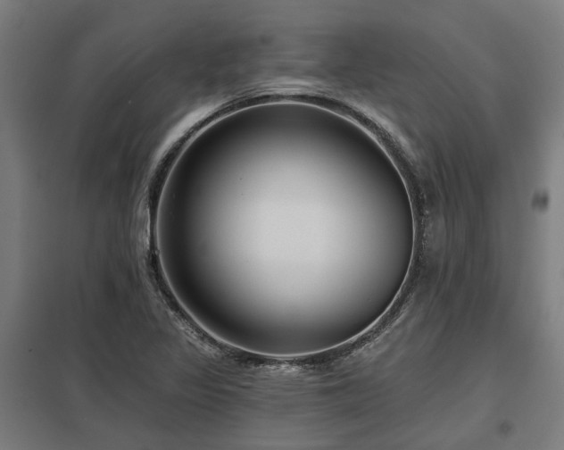X0000098051317200803281445