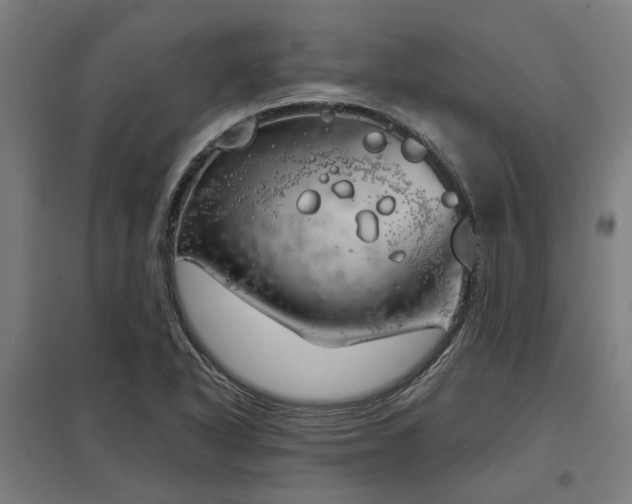 X0000098051318200803281445